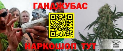 гидра Нальчик
