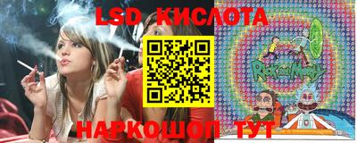 гидра Нальчик
