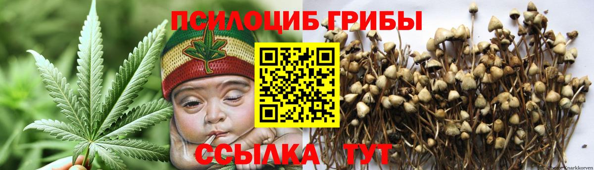 Уварово  Псилоцибиновые грибы ЛСД  наркота  Вход с VPN 
